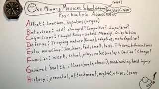 Components of a Psychiatric Assessment - One Minute Medical School