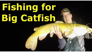 Fishing for catfish. How to catch flathead catfish