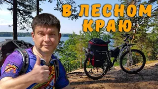 Велопоход - 150 км в краю лесов, озер и рек.