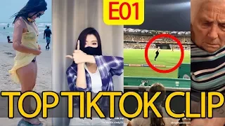 Top 15 TikTok Clips June 2019 - funny clip