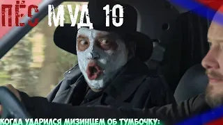 ПЁС муд 10