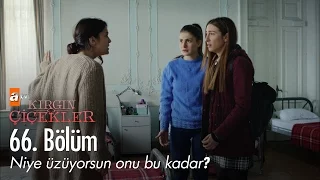 Niye üzüyorsun onu bu kadar? - Kırgın Çiçekler 66. Bölüm - atv