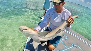 SHARK & GROUPER Catch Clean and COOK (Florida Keys)