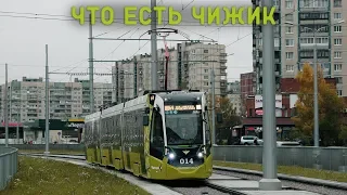 ЧТО ЕСТЬ ЧИЖИК