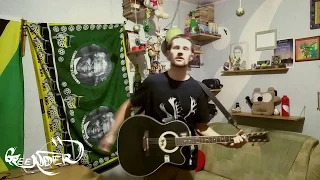 Greender - Люди с автоматами (Noize MC live acoustic guitar cover)