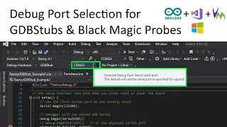 Debug Port Selection for GDBStubs & Black Magic Probes