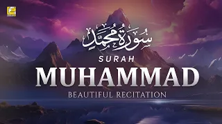 Stunning recitation of Surah Muhammad سورة محمد | SOFT VOICE | Zikrullah TV