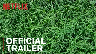 In the Tall Grass | Official Trailer | Netflix