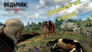 ЧТО БУДЕТ, ЕСЛИ УБИВАТЬ КОРОВ В БЕЛОМ САДУ - Witcher 3 Wild Hunt