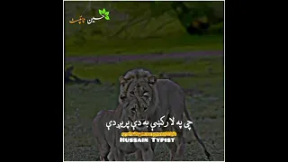 هغه نور دي چي په لار کی دی پریږدی زه به ته سره تر مرګه درسره یم /پشتو ترانه /pashto tarana