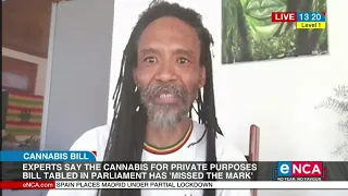 Cannabis Bill missed the mark | Experts