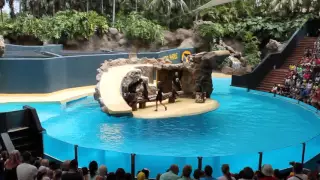 Loro Parque 2013 2 часть