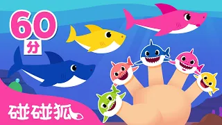 鯊魚一家 人氣兒歌精選合集 🦈 Baby Shark doo doo＋更多 鯊魚寶寶 經典兒歌 連續播放 | 臺灣配音 中文兒歌 | 碰碰狐 Pinkfong!