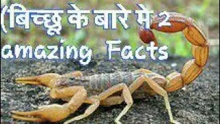 Two Amazing  Facts about scorpion| #shorts | #Ytshorts | #arvind_Arora | #facts
