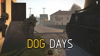 Dog Days -ShackTac Iron Front