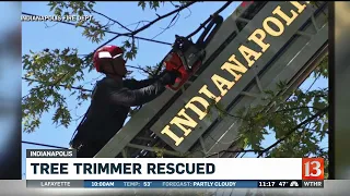 Tree Trimmer Rescued