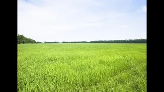 Тандир своїми руками з звичайної цегли, все працює