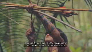 Amazonia Dammed Trailer | NFMLA August 25th, 2018 Film Festival
