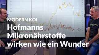 Diesen Einfluss haben Hofmanns Mikronährstoffe auf Koi und Wasser | Modern Koi Blog #6632