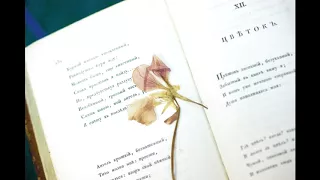 Цветок. Пушкин Александр Сергеевич