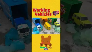 Car Carriers Carry Cars in Jellies! Let's See What Cars are in the Car Carriers!【Kuma's Bear Kid】