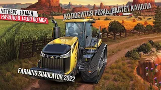 Колосится рожь, растет канола - Farming Simulator 2022 - #3