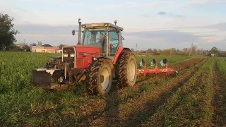 Massey Ferguson 3655 orka