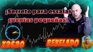 Trader Revela Cómo Pasar de 20$ a 52k | Secreto para Escalar Cuentas Pequeñas Revelado| 2023