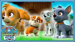 パウ・パトロール | 子犬たちは今日もやってくる！名場面集20分 | Nick Jr. Japan