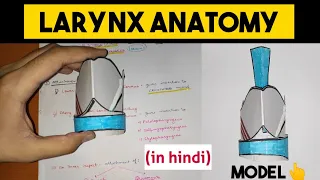 Larynx Anatomy - 1 | Cartilages of Larynx