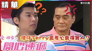 愛回家之開心速遞丨第955集精華 傻仔Terry盡孝心會得罪人？丨李偉健丨王俊棠