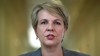 Tanya Plibersek is 'never put forward' by Labor