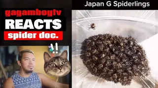 REACTING TO JAPAN G FEEDING(SPIDER DOC)