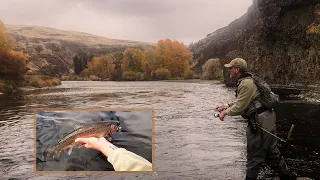 Yakima River Rainbows (Bank Fishing with Bill Herzog)