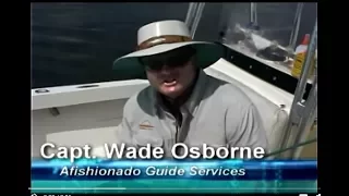 Tampa Bay Flats Fishing with Capt Wade Osborne