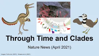 Nature News: April 2021