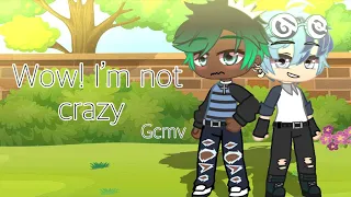 『Wow! I’m not crazy』/gcmv/ 《No Friends Part 2》song by: AJR