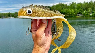 Throw BIG Plastic Lures For MONSTER Fish!!!