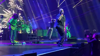 311 - Hydroponic (Live)