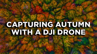 Capturing Autumn in the UK with a DJI Drone - Cinematic HD Drone Shots from Autumn in Kent in 2020