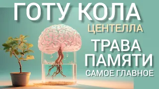 Готу Кола (Трава Памяти) Центелла l Как принимать l Самое главное l Gotu Kola - Brain Health