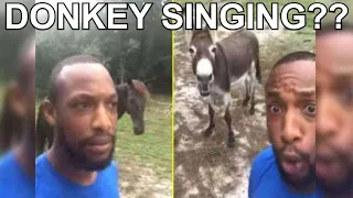 WATCH VIDEO : Donkey singing song from ‘Lion King’