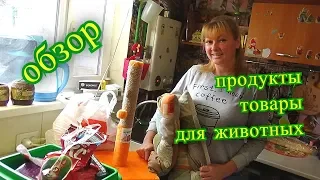 обзор, продукты, товары для животных, цены, Коля Оля Шаповаловы, 4 11 19