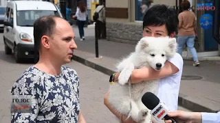 Заборона на айкос: що франківці думають про куріння в громадських місцях?