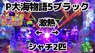 12月27日28日　パチンコ実践　P大海物語5ブラック　年末に無駄に勝負しに行きました　結果は？　シャチ2匹出たら…