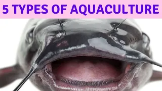 5 Types of Aquaculture, What is Aquaculture? What Aquaculture Means? What Aquaculture Is!