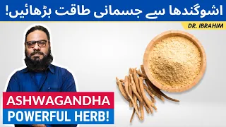 Ashwagandha Ke Fawaid: Taqat Se Bharpoor! Benefits Of Asgand [Urdu/Hindi] Dr. Ibrahim