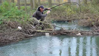 This Hidden Stream Flooded The Wood! It was Packed With BIG Fish!