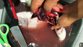 HOW TO CLEAN & SMOKE FISH AT HOME