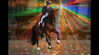 The Rave Horse: The TikTok Famous Dressage Horse From Tokyo & The Full Grand Prix Freestyle